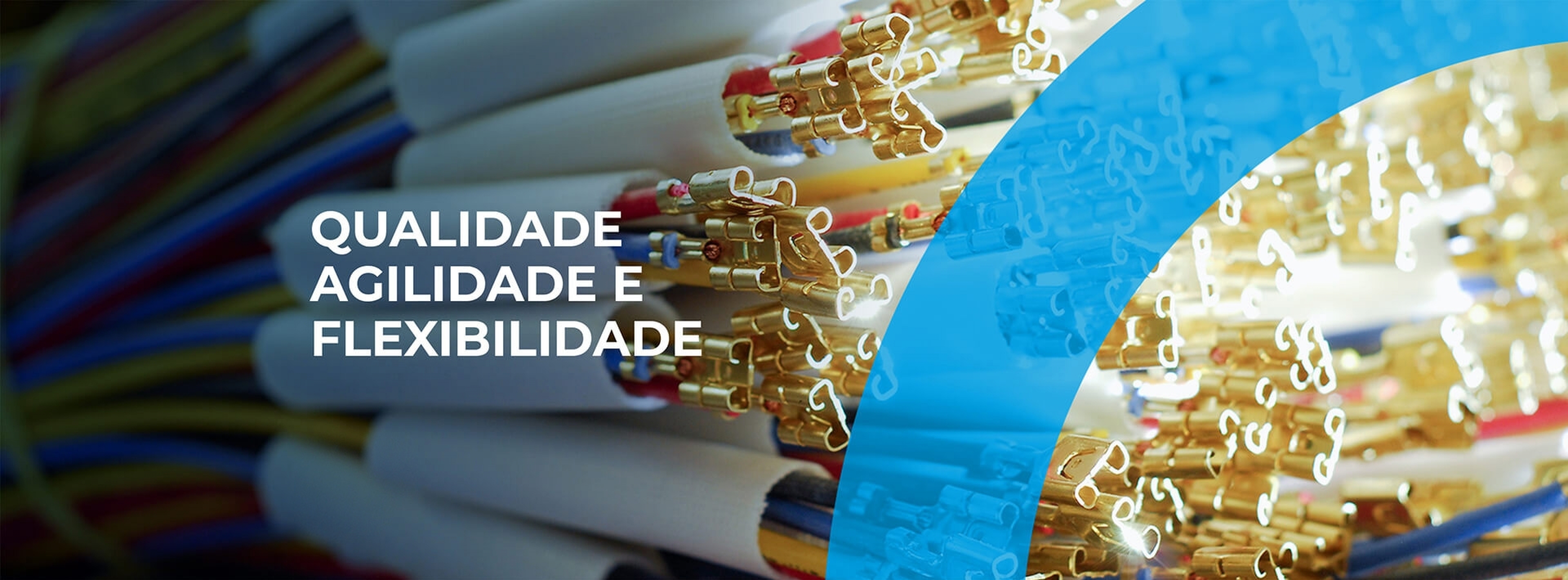Qualidade Delpi